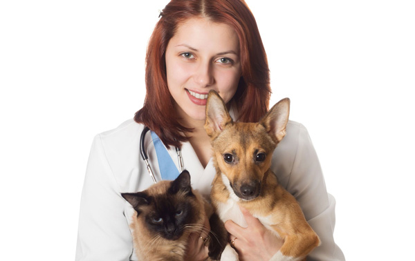 Treat your pet Veterinary compounding medication